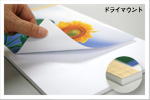 ドライマウント