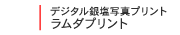 ラムダプリント